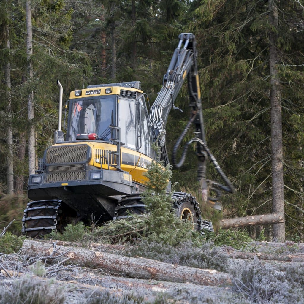 Skogsmaskin, Skogsbruk, Avverkning, Skogsavverkning, Natur, Skog