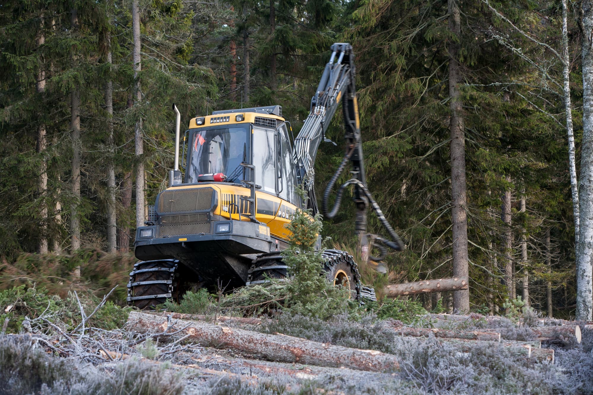 Skogsmaskin, Skogsbruk, Avverkning, Skogsavverkning, Natur, Skog