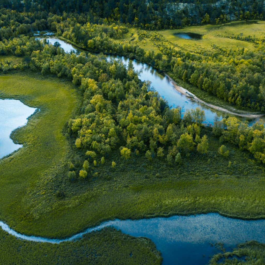 skog, å, vatten, uppifrån, slingrande, träd, natur, 1176867660