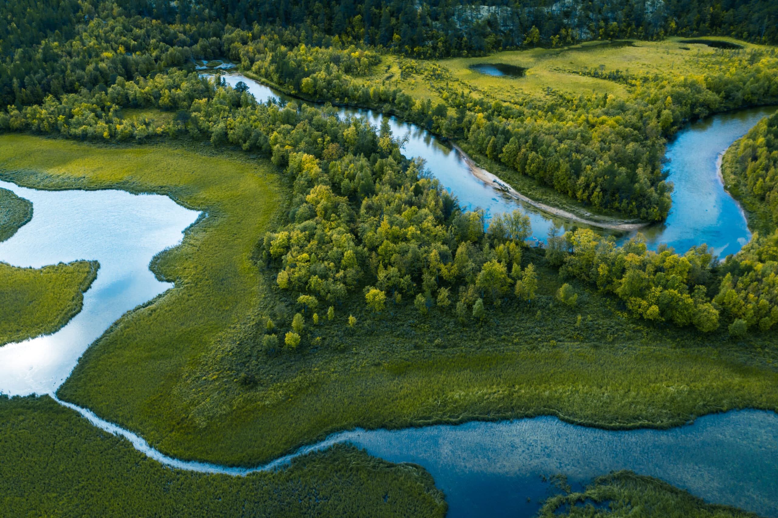 skog, å, vatten, uppifrån, slingrande, träd, natur, 1176867660