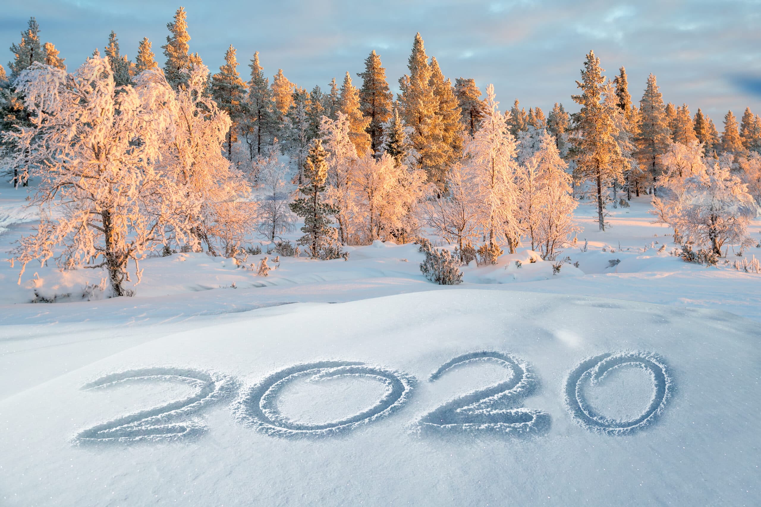 2020, snö, vinter, nyår, träd, natur, firande, fira, segrar, år, solnedgång, 1180961371