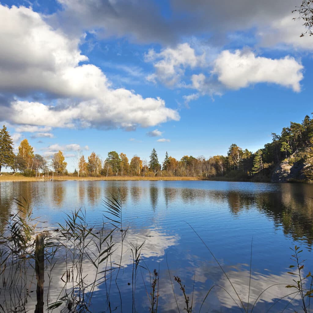 Sjö, Vatten, Skog, Natur, Himmel, Moln, Landskap