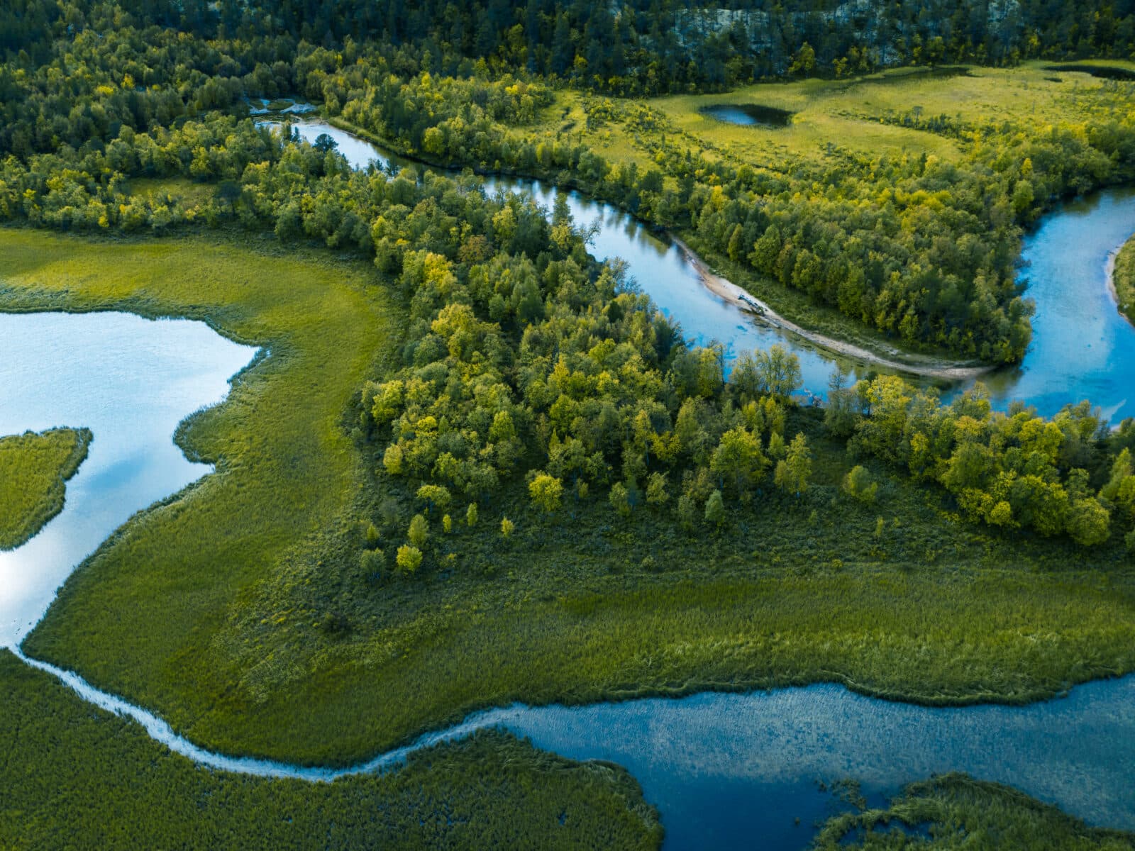 skog, å, träd, vatten, ovanifrån, grönt, våtmark, 1176867660