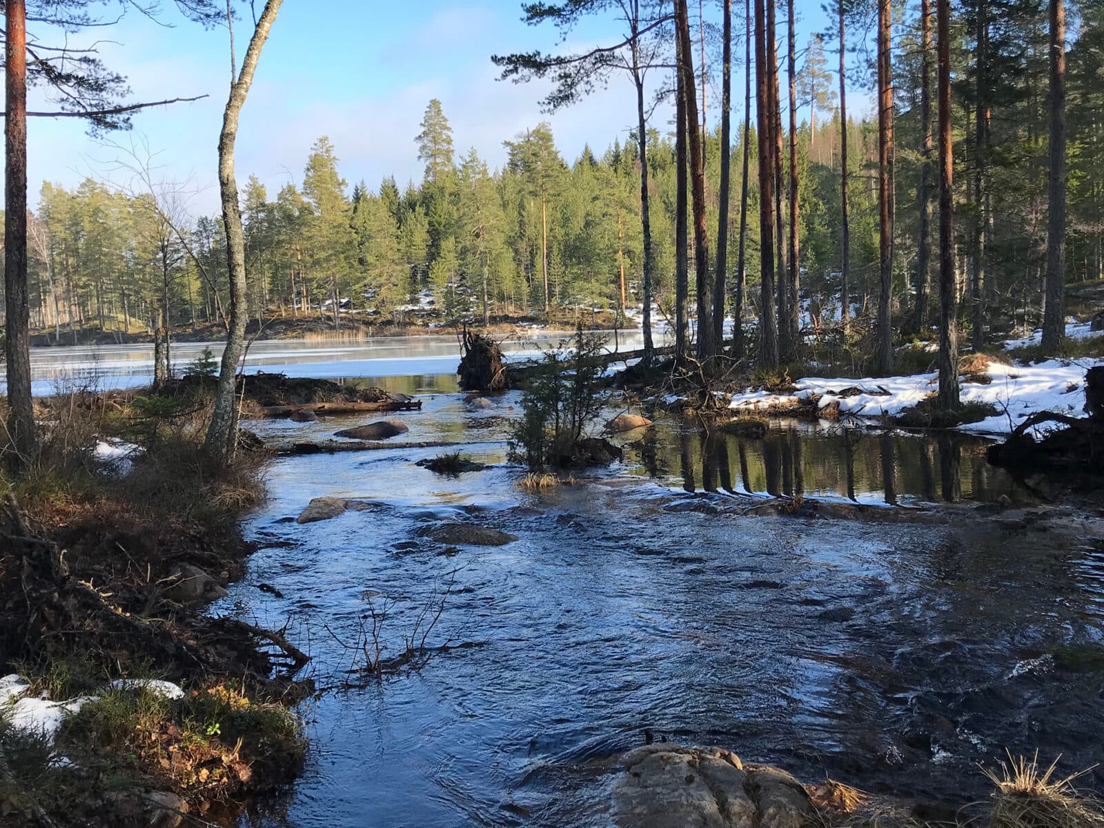 miljöfond, fond, miljömärkt, örebro, länsstyrelsen, hammarskogsån, myggsjön