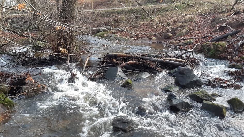 Miljöfondsprojekt: Biotopvård i Myltebäck, efter åtgärd biotopvård